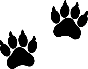 animali (1).png